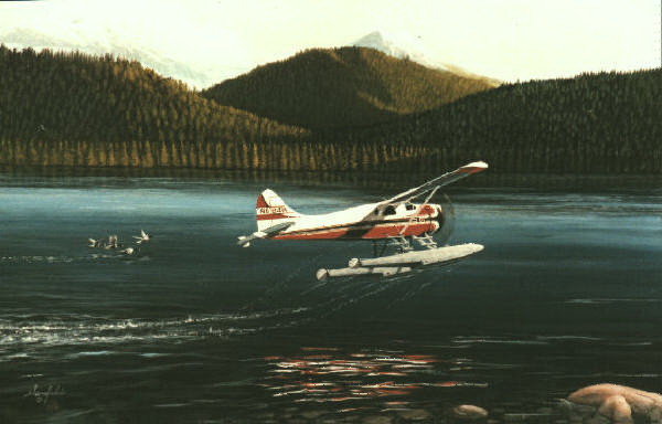 DHC2 Beaver Lift Off